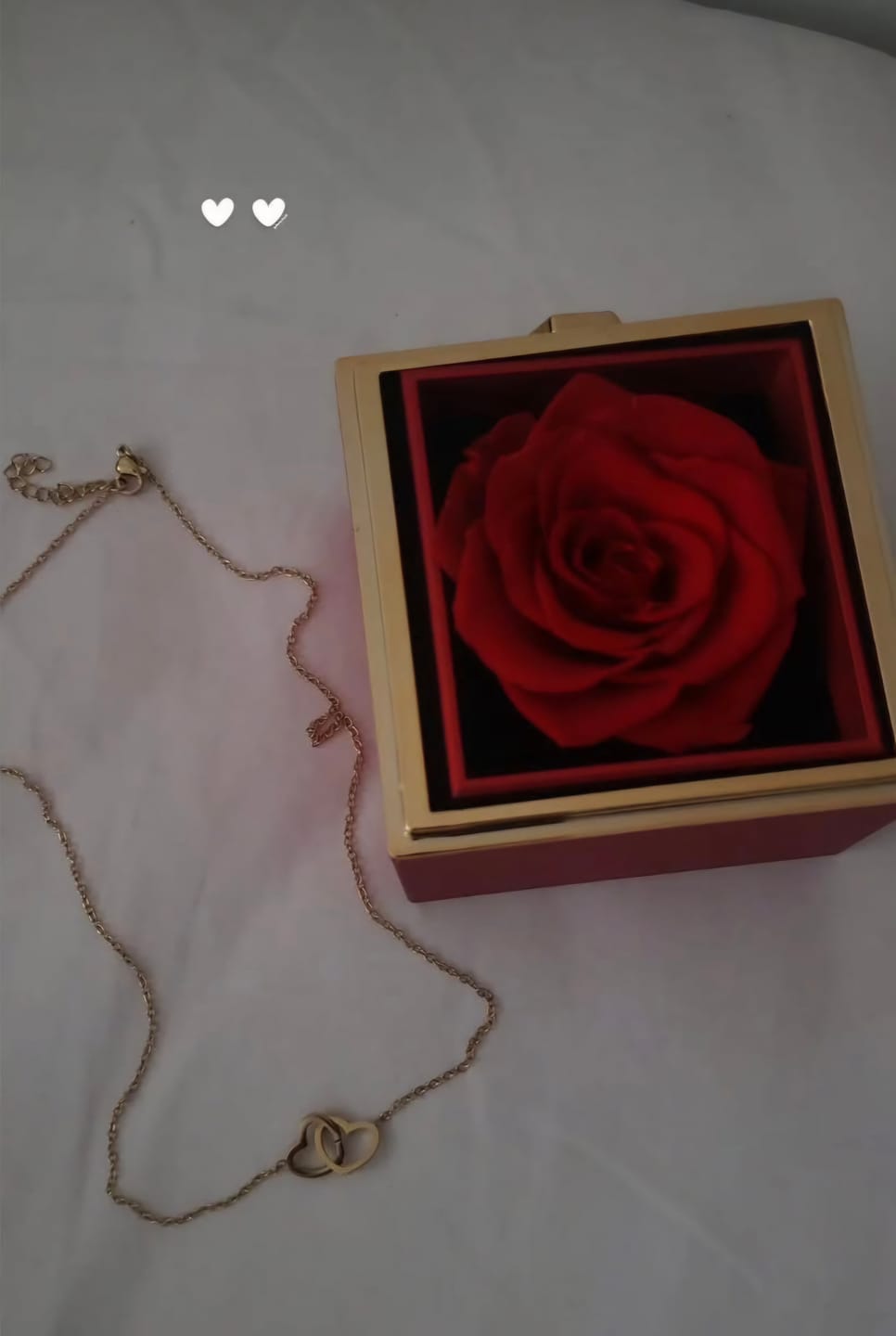 Customer photo review of Double Heart Necklace