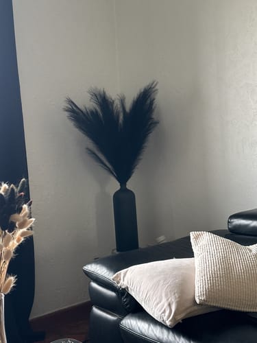 Customer photo review of Pampas 110cm (3 tiges)- Noir