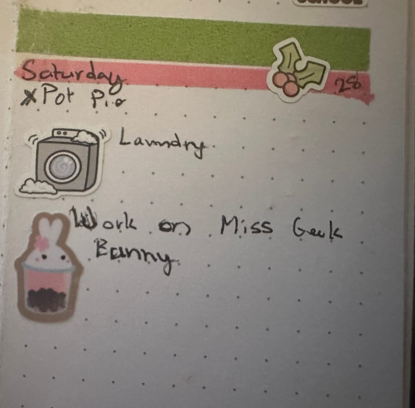 Customer photo review of Laundry Planner Stickers
