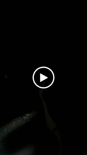 Customer video review of Lights Left On Warning Buzzer