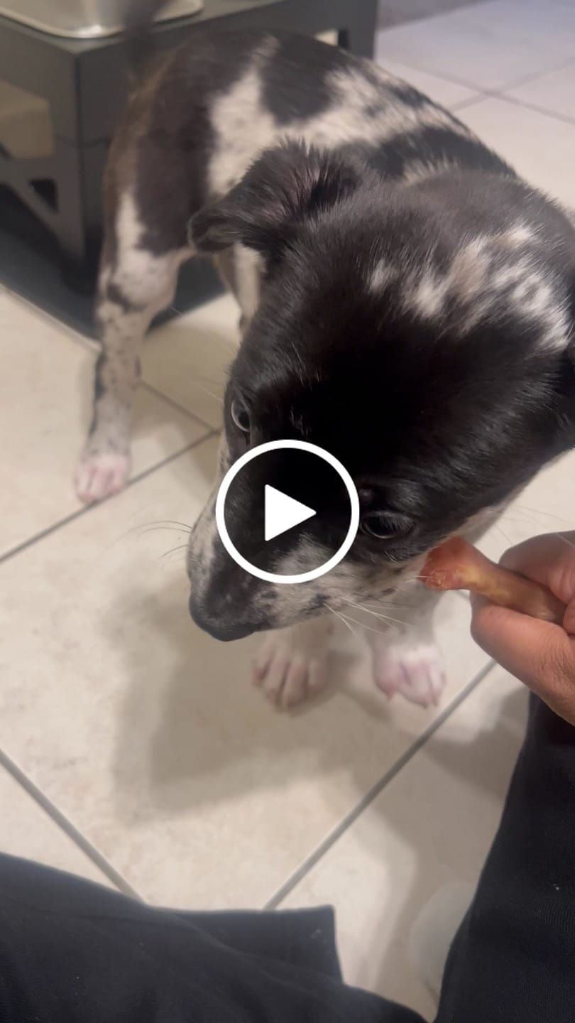 Customer video review of Chicken Feet