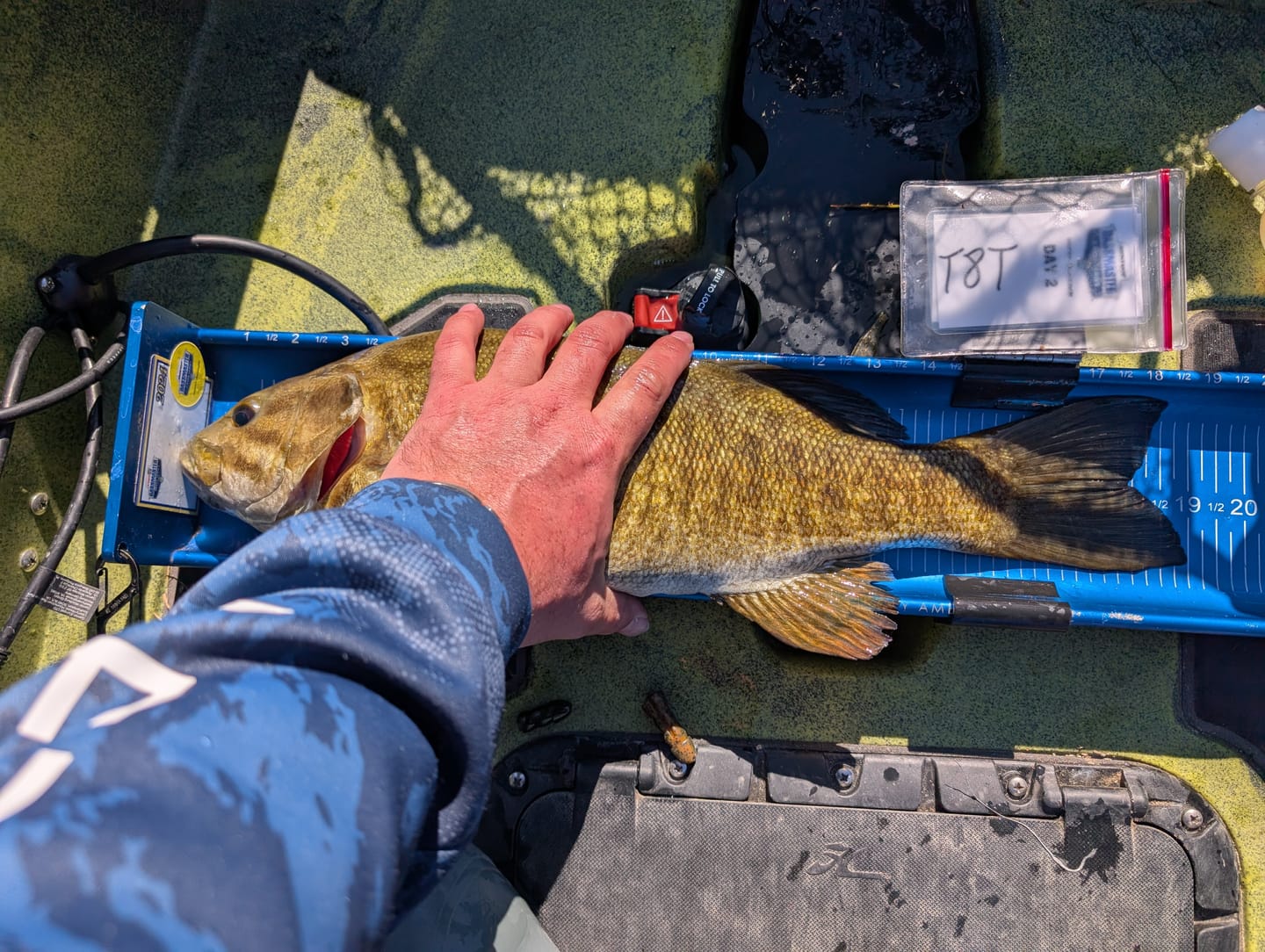 Customer photo review of Pulse Fish Lures Kicker Pulse Blade