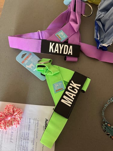 Customer photo review of Dog Harness
