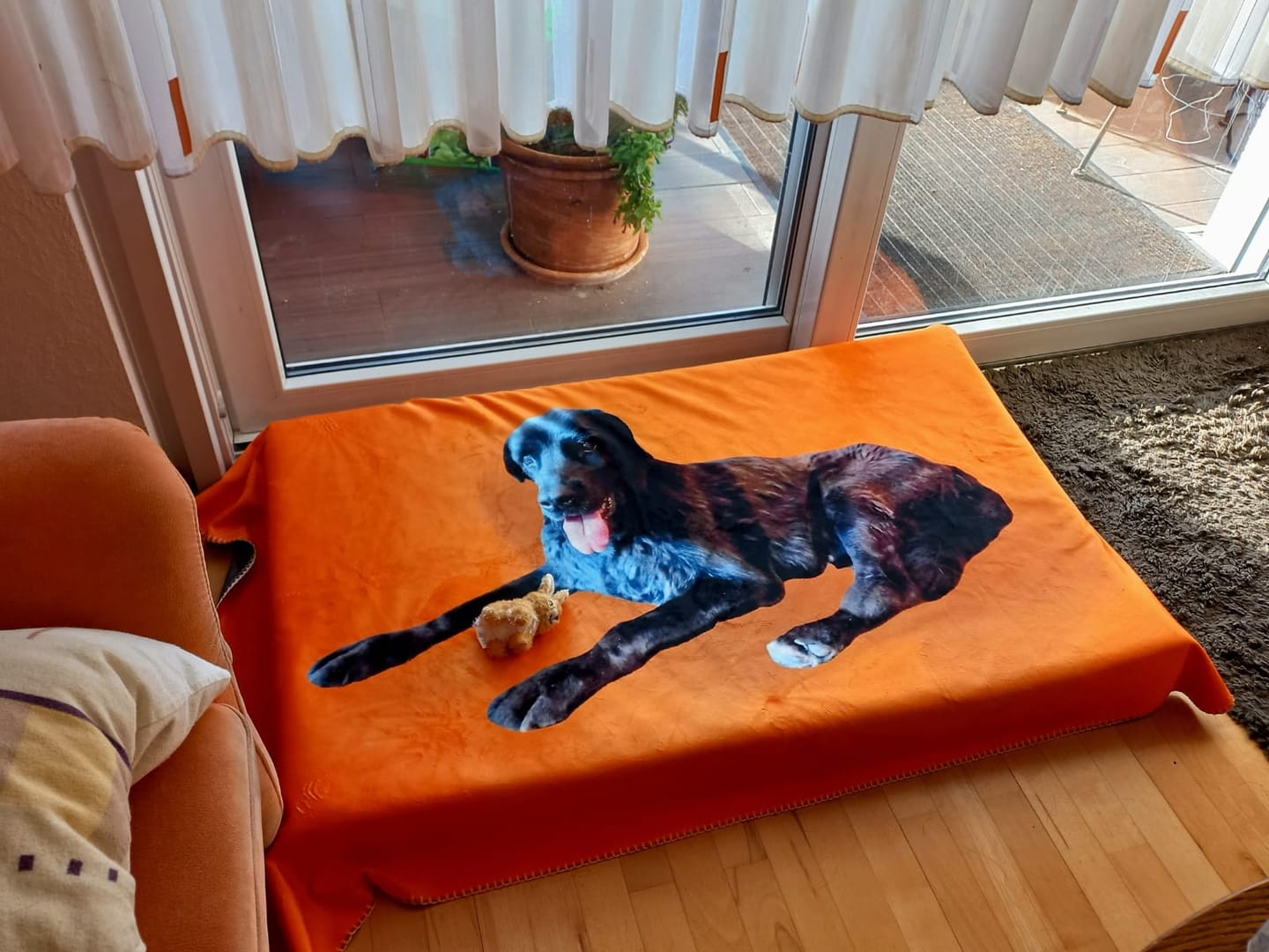 Customer photo review of Eigenes Foto - Individuelle Decke