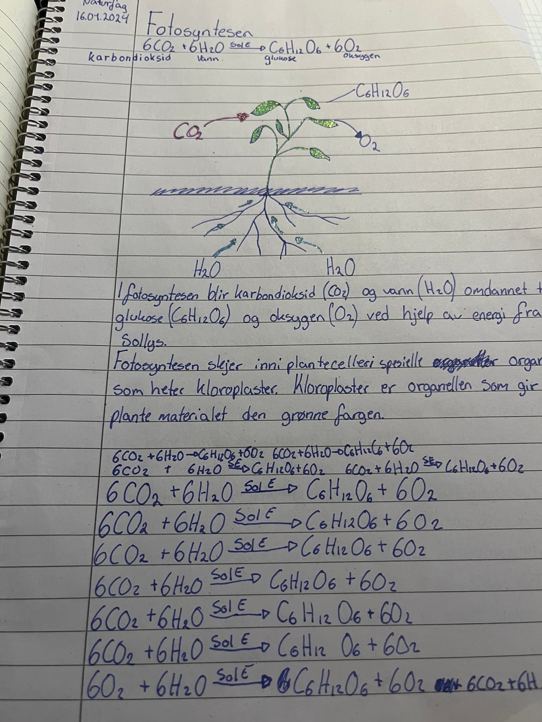 Customer photo review of Kaweco Classic Sport Fountain Pen Fine