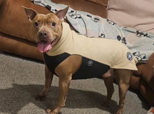 undefined review of Dog Fleece With Zip - Tan image 1 out of 4