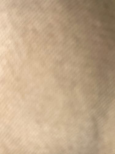 Customer photo review of 2021 CALIFORNIA DMV.CA.GOV LICENSE PLATE 6"x12" (156.5mm x 305mm)