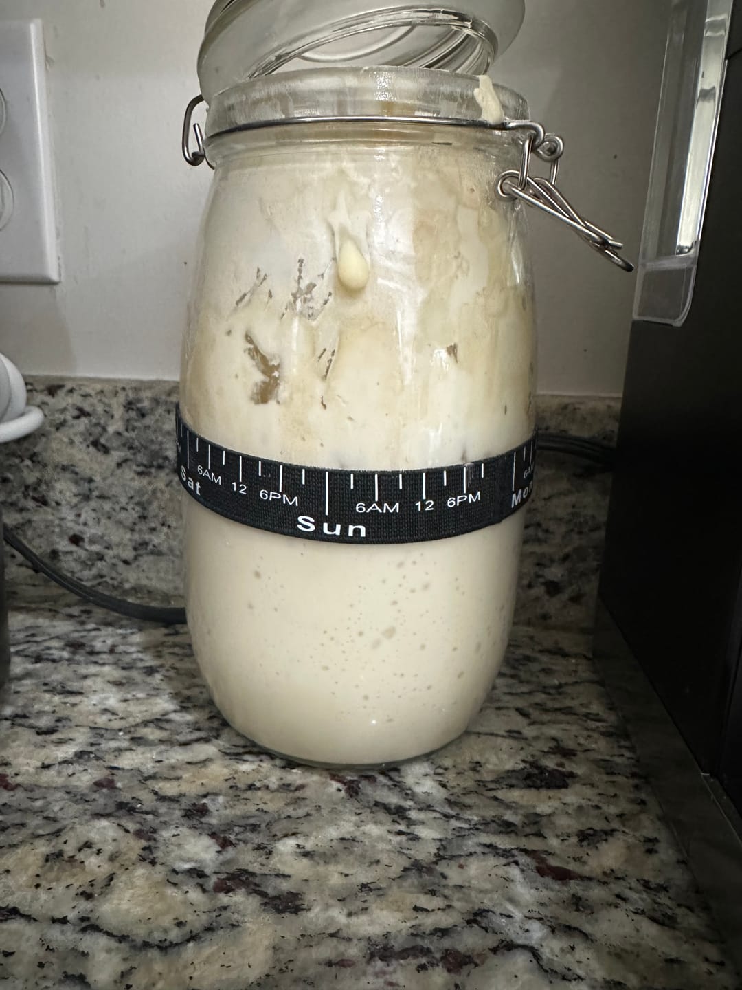 Customer photo review of Dehydrated Sourdough Starter Kit