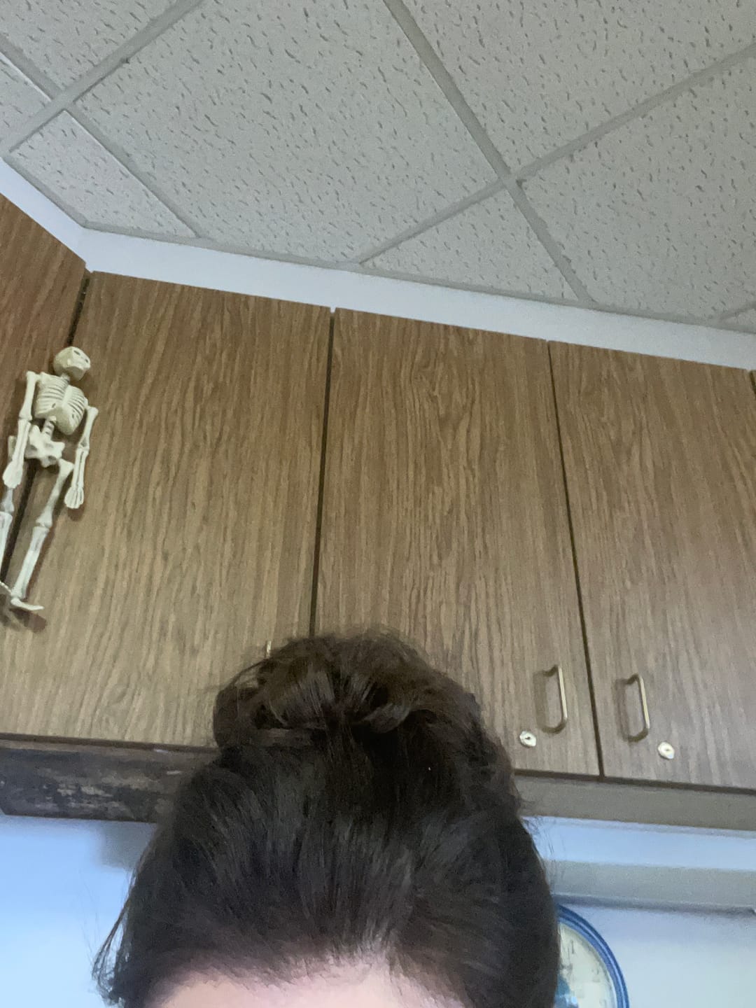 Customer photo review of Top Knot Messy Bun Ponytail Holder Hair Extension - 2.0