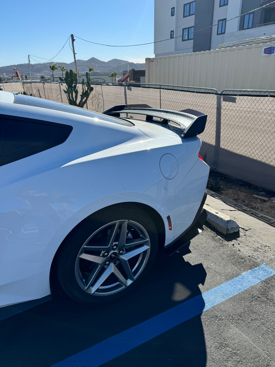 Customer photo review of PRE-ORDER 2024 + Ford Mustang Dark Horse Rear Spoiler Gloss Black ABS