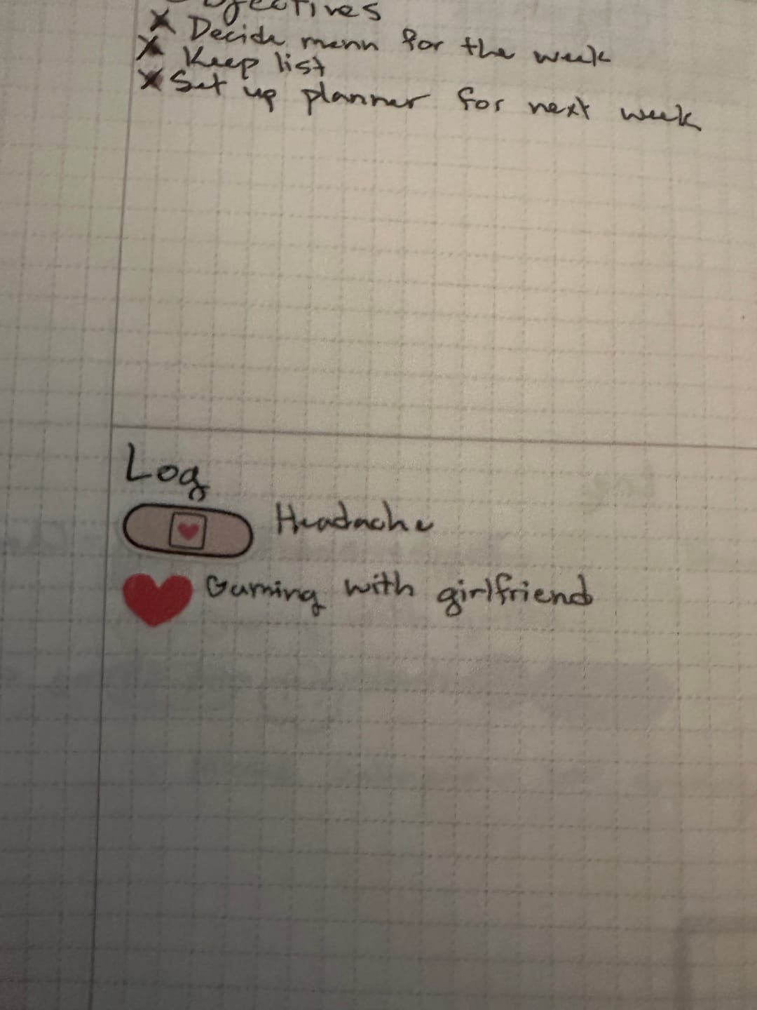Customer photo review of Ouchie Planner Stickers