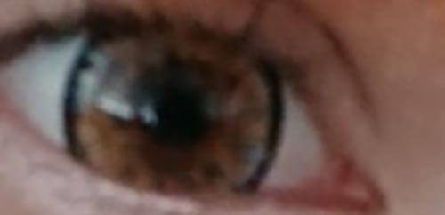 Customer photo review of Dolly Eye Hazel