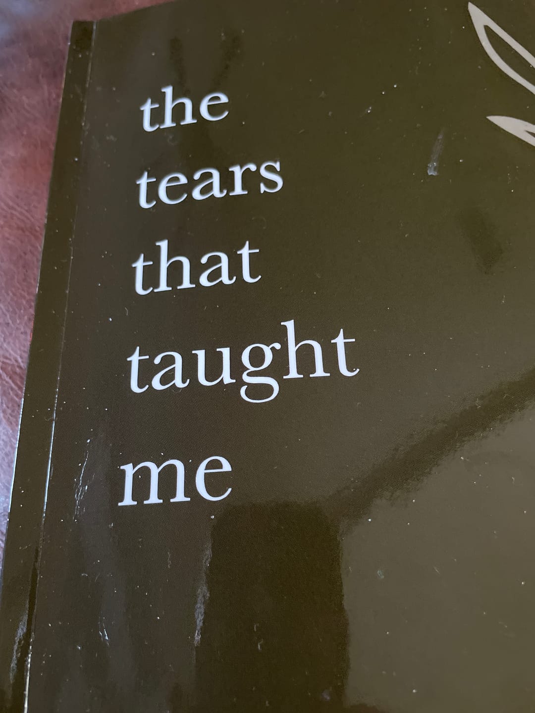 Customer photo review of The Tears That Taught Me