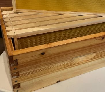 Customer photo review of MayBee Hives Unassemble 8 Frame Medium Super Bee Box Beeswax Coated Bee Hives Includes Wooden Frames , Beeswax Plastic Foundations