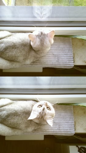 Customer photo review of NUVINT - Digitalkamera