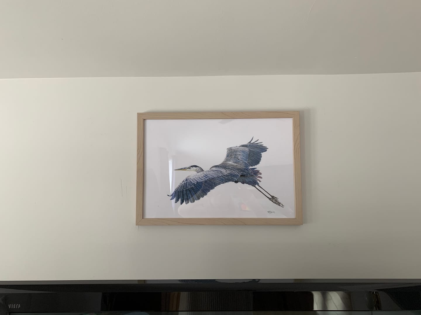 Customer photo review of Great Blue Heron - illustration