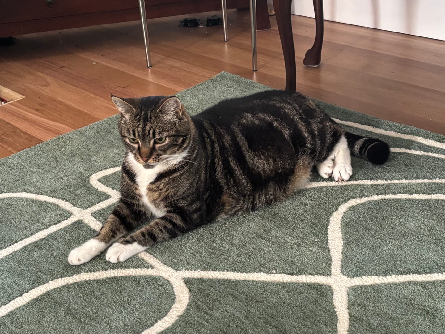Customer photo review of Elm Green Wool Rug