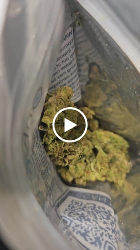 Customer video review of THCa Greenhouse Smalls