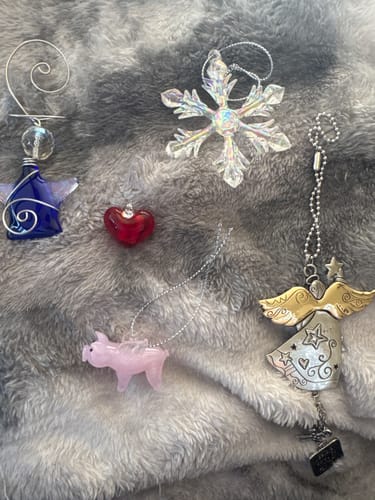 Customer photo review of Flying Pig forward 269