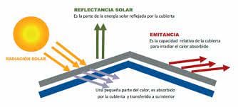 Customer photo review of Extracto Melena de León Cápsulas - Ultra Concentrado