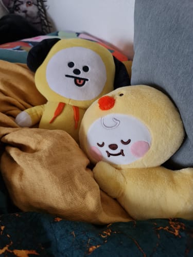 Customer photo review of BT21 - Baby Fluffy Lying Doll