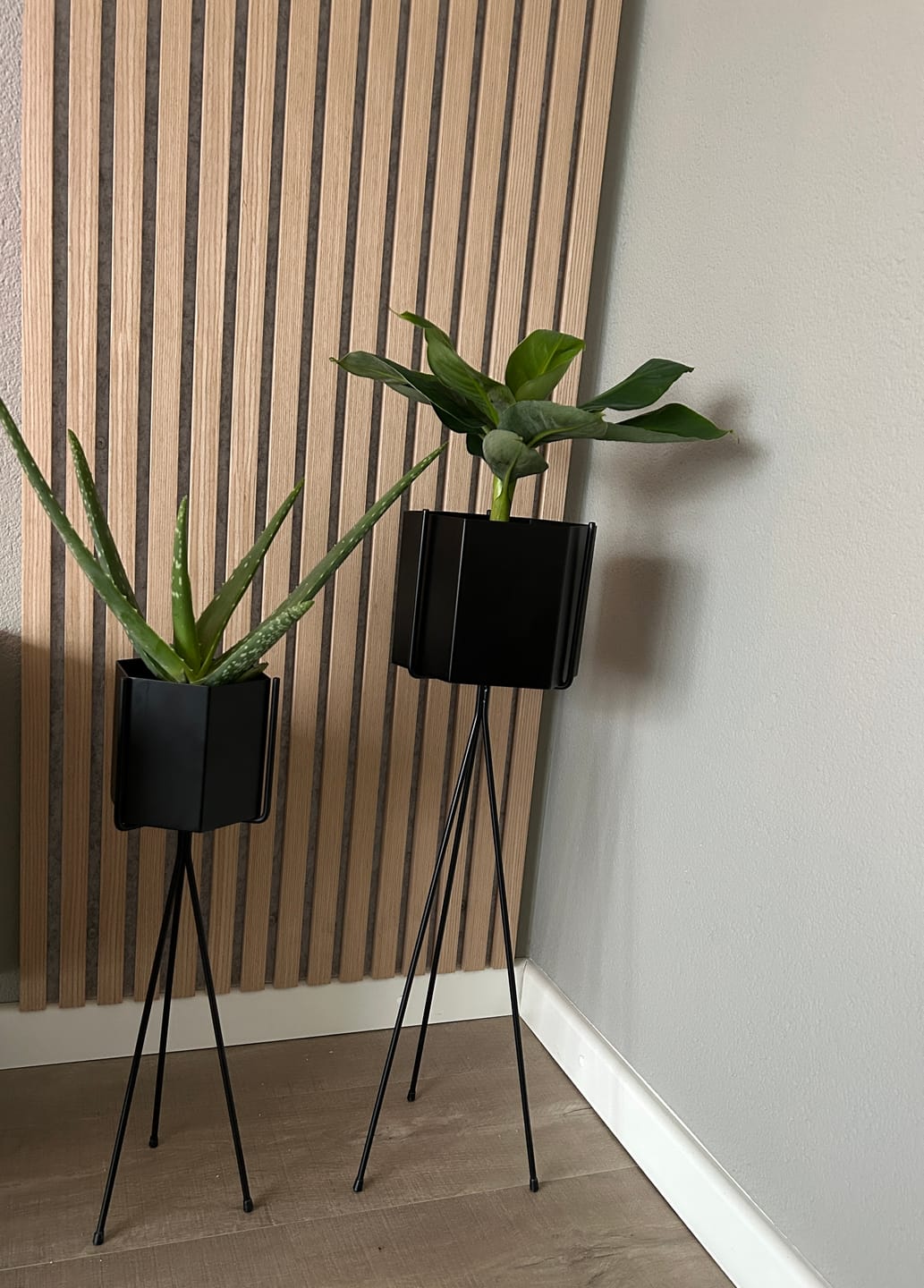Customer photo review of AkuPanel Naturel Eiken-Hout met Grijs Vilt | 240cm x 60cm | 3-zijdig écht houtfineer