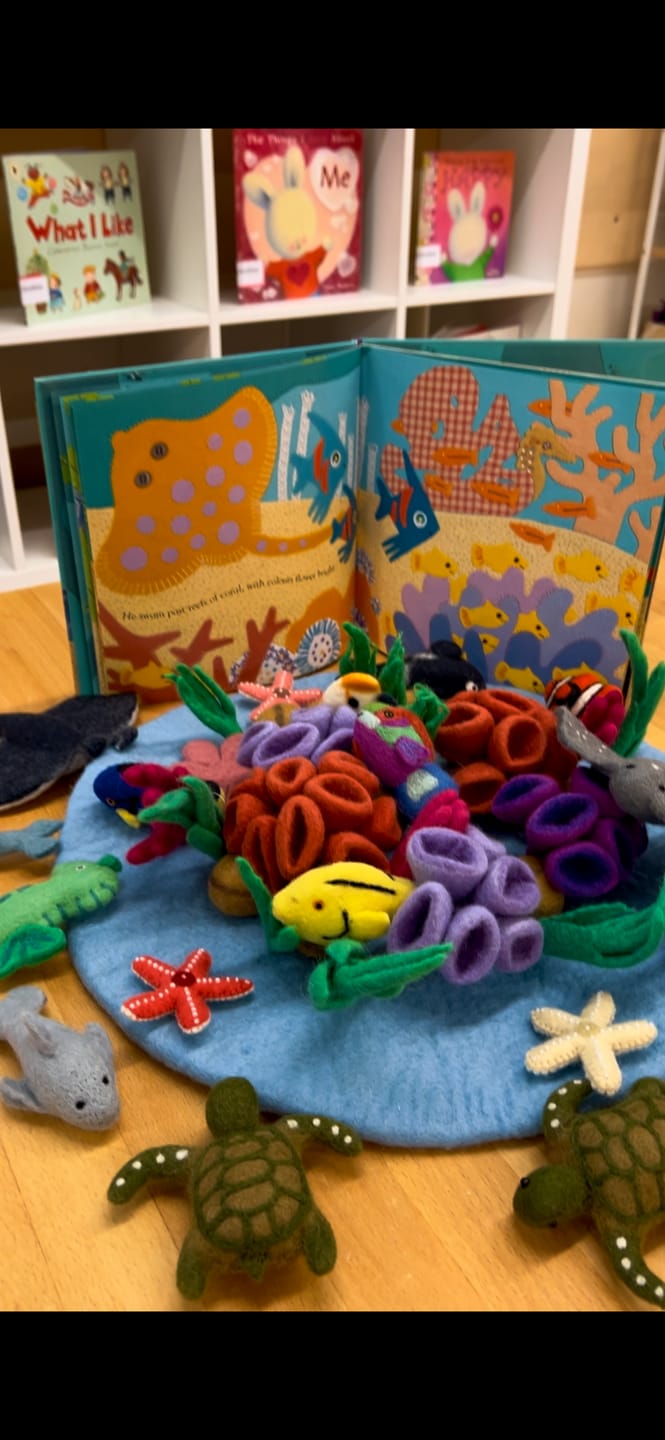 Customer photo review of Felt Starfish - Set of 3
