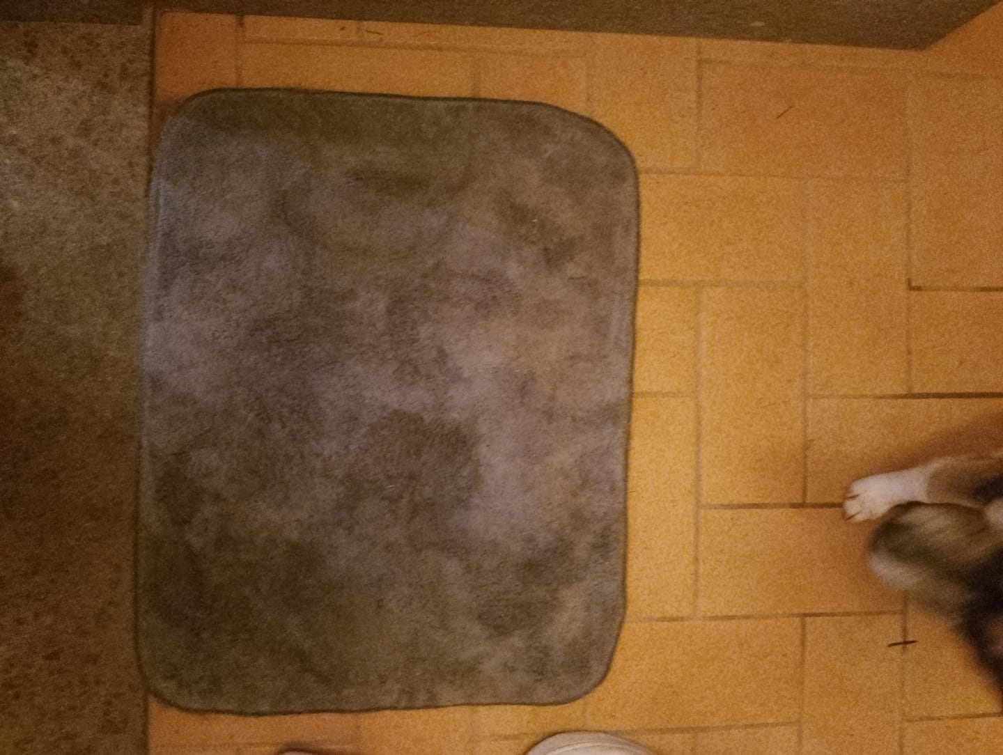 Customer photo review of Tappeto Magico® - L'Originale zerbino per Interno ed Esterno, Antiscivolo Lavabile In Lavatrice, Ultra Assorbente Tappeto, Tappetini Per Il Bagno, Cucina, Casa - Made In Italy