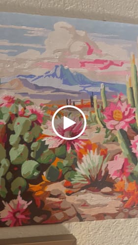 Customer video review of Cactus Kit