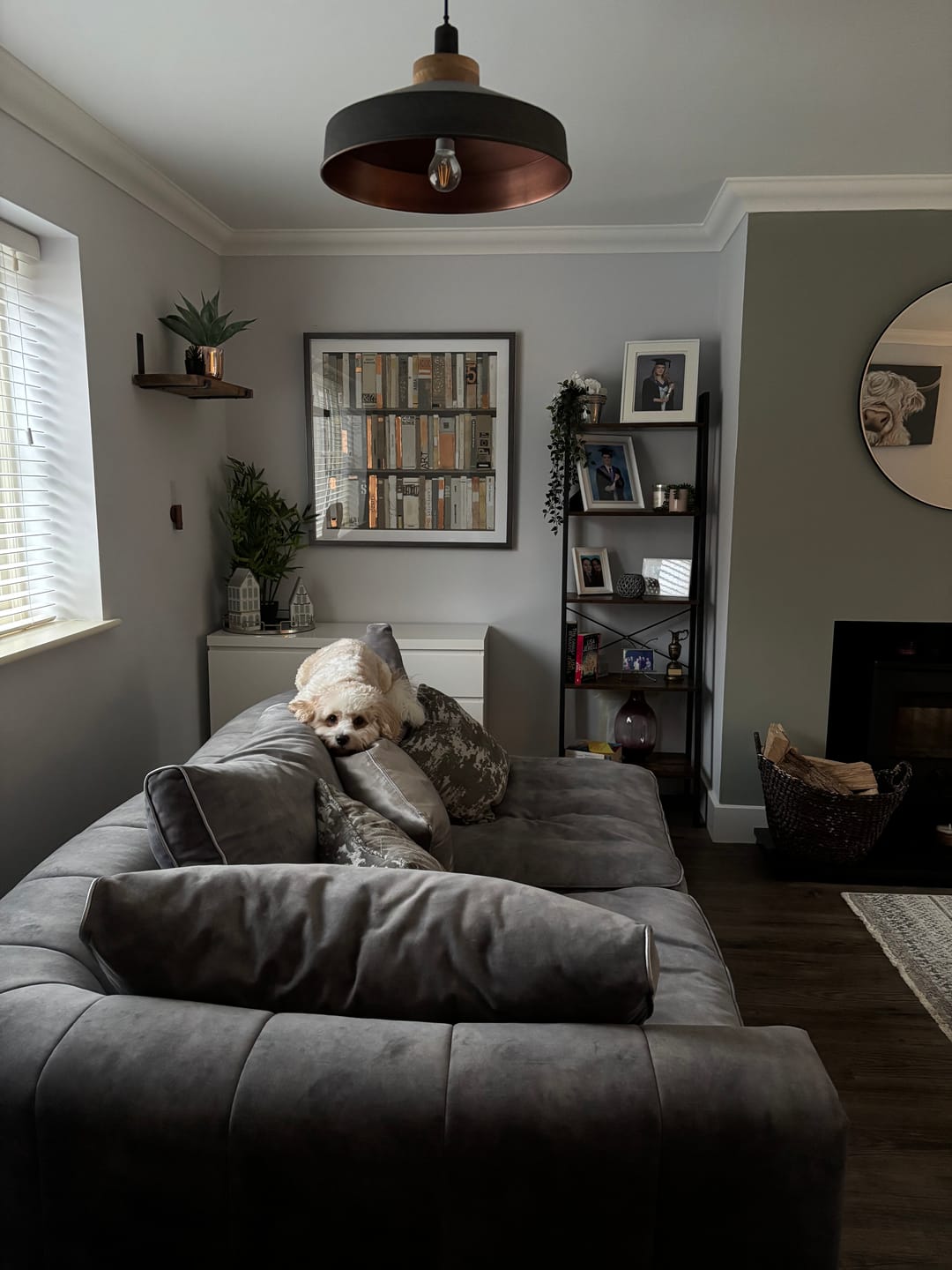 Customer photo review of The Library By Sabrina Roscino