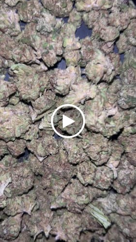 Customer video review of Shipping Protection by Route