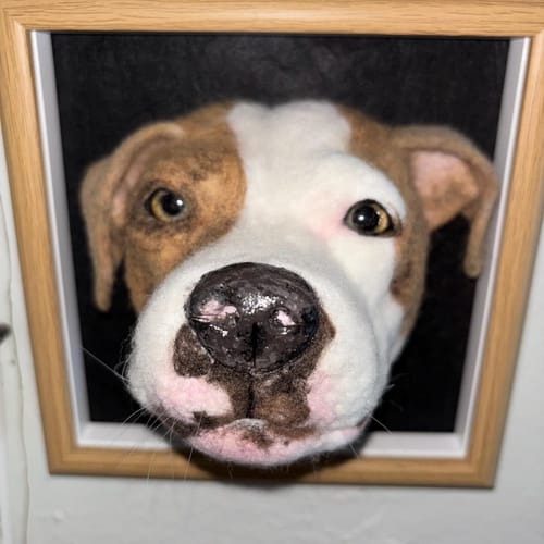 Custom Stuffed Animal Clones with Wooden Frame