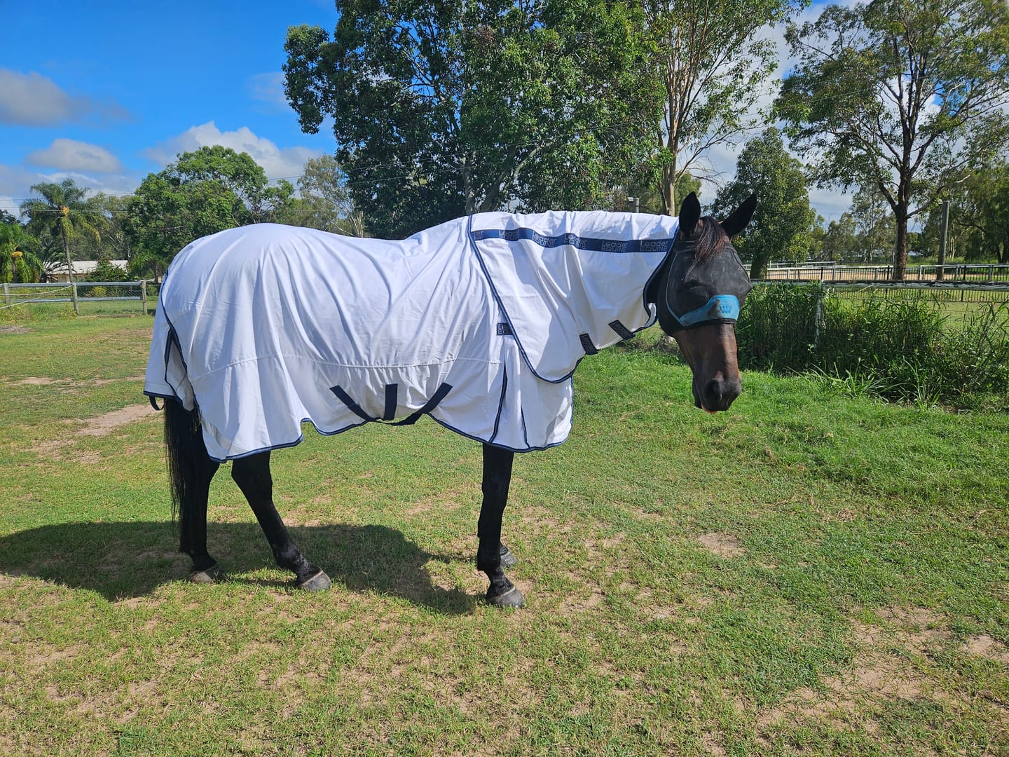 Customer photo review of LE Fieldsafe Summer Sheet