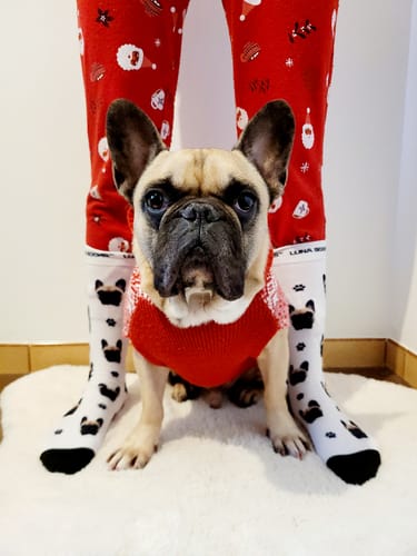 Laurène M. review of Chaussettes personnalisées image 1 out of 2