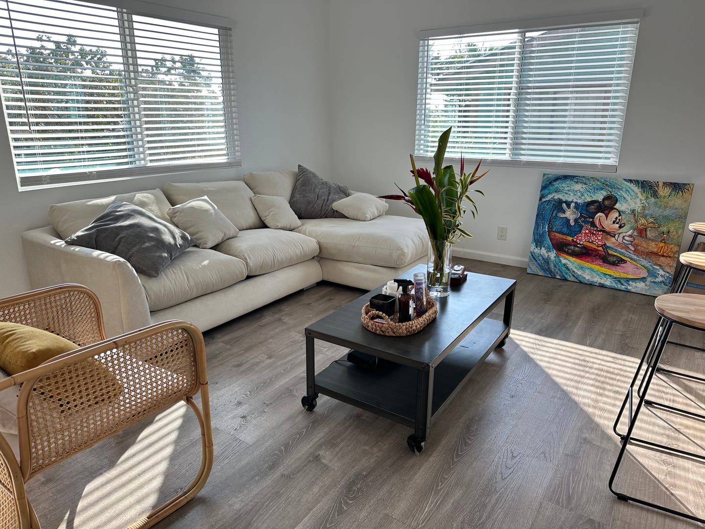 Customer photo review of Feathers Sectional