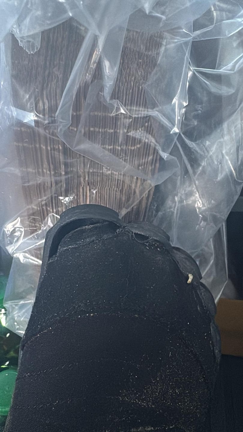 Customer photo review of Will II - Winter Barfußschuhe