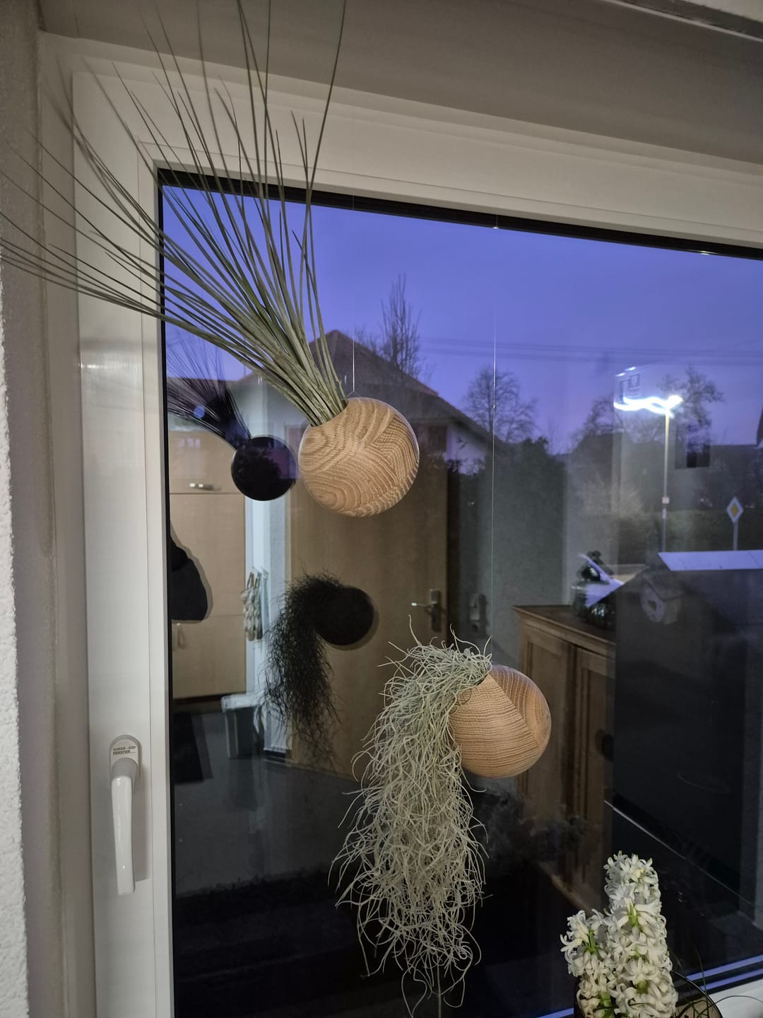 Customer photo review of Tilly Xylo Globus