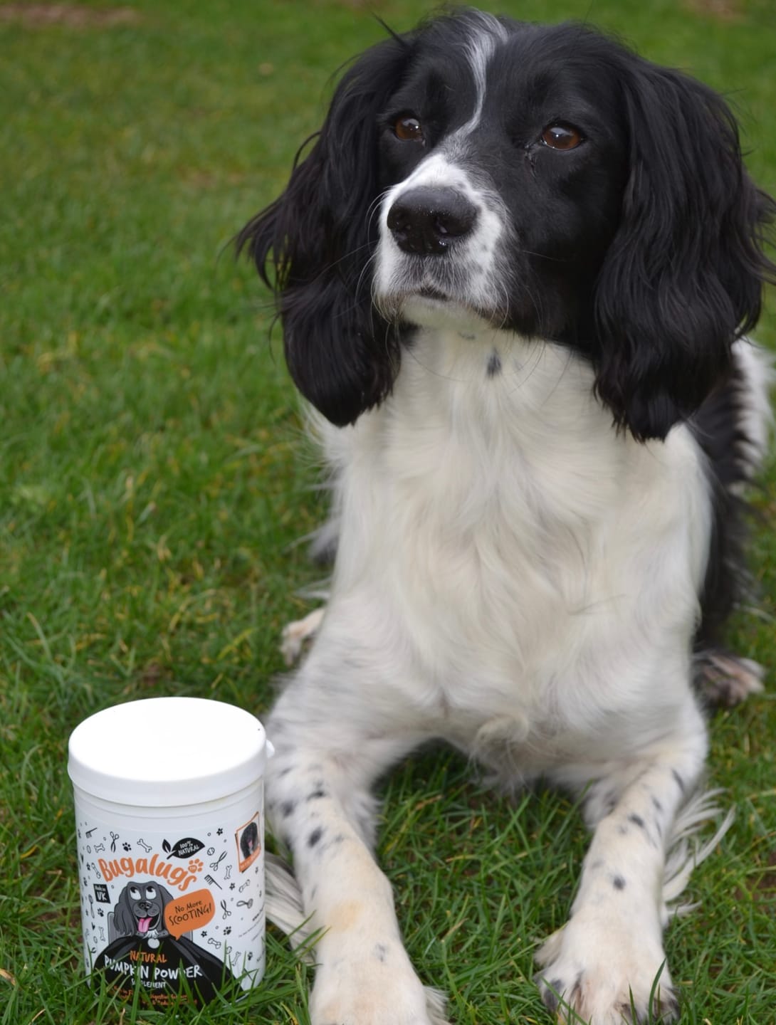 Customer photo review of Pumpkin Powder Supplement for Dogs (200g)