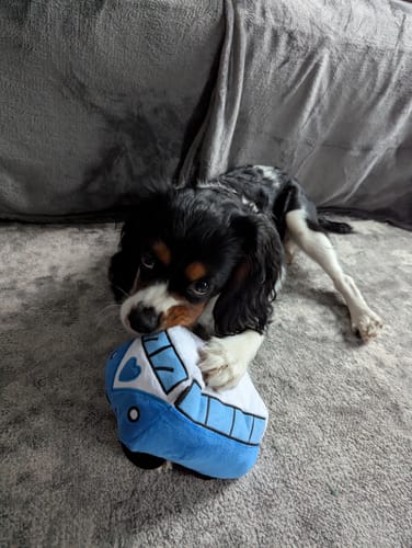 undefined review of Pawsome Plushie - Reuben's Roadtrip image 1 out of 3