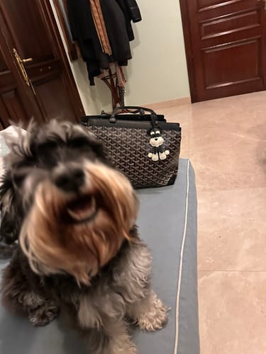 Customer photo review of SCHNAUZER BAG CHARM