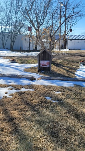 Customer photo review of Valentines Day Yard Sign
