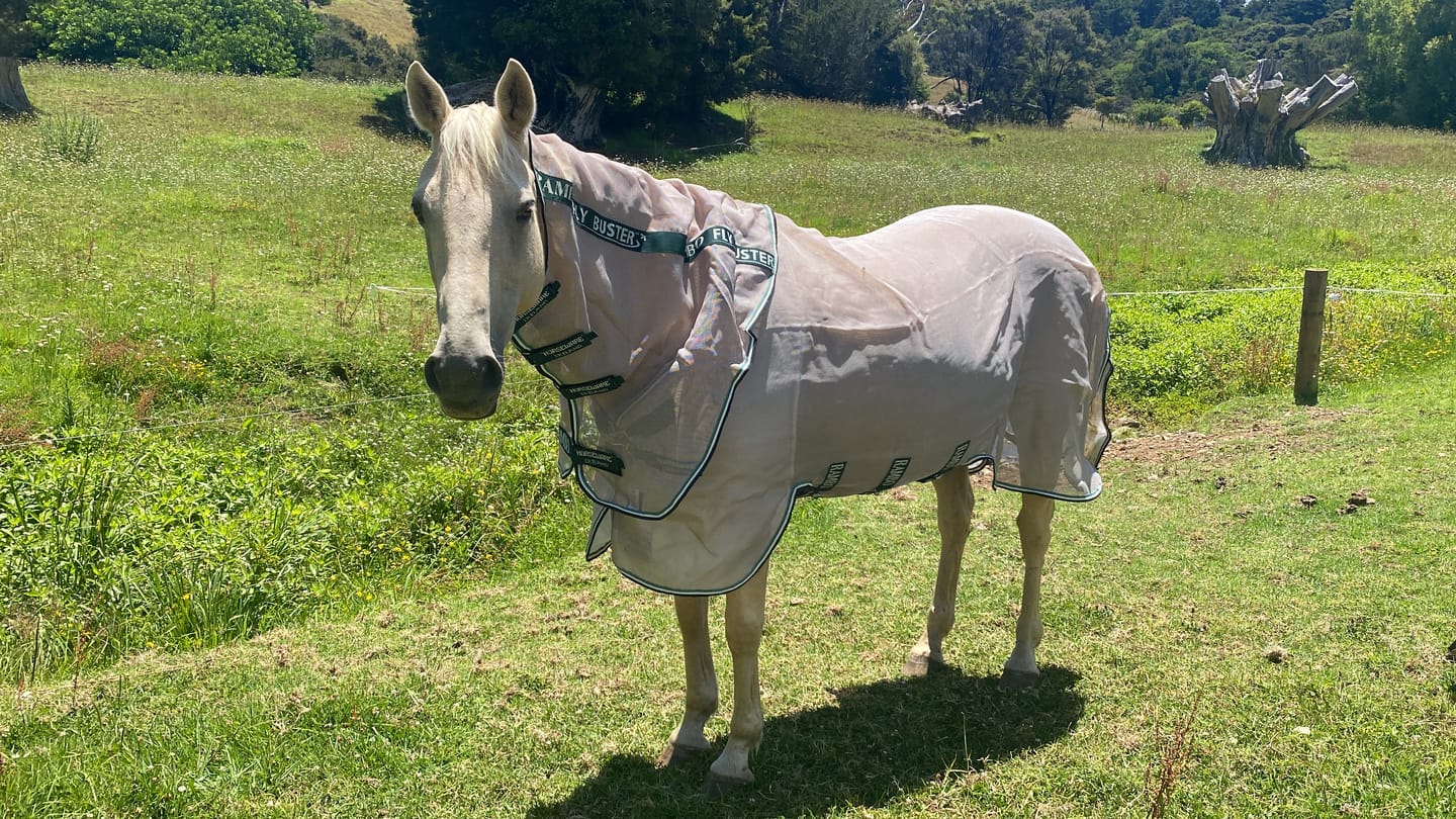 Customer photo review of Rambo Flybuster Vamoose NFZ