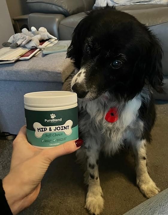 Customer photo review of PureBlend Hip and Joint Chews for Dogs