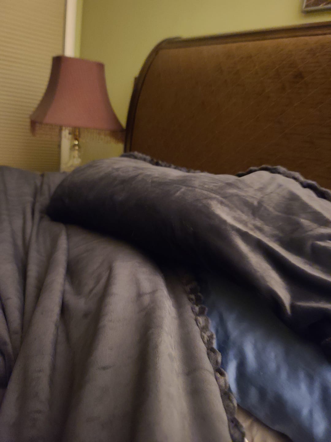 Customer photo review of Amorgos Fine Velvet Bedding Set