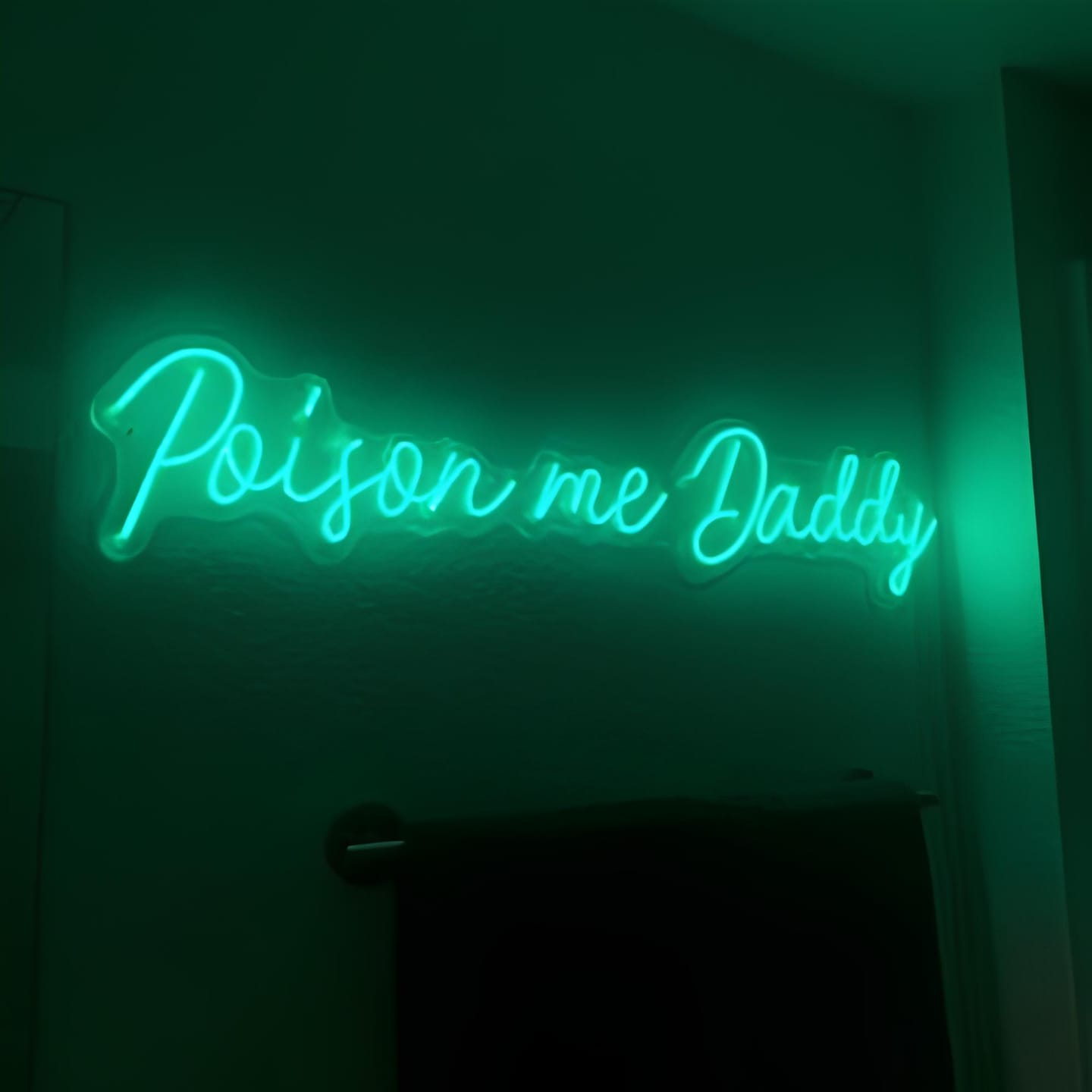 Customer photo review of Custom Made Neon Signs Bring Your Imagination to Life