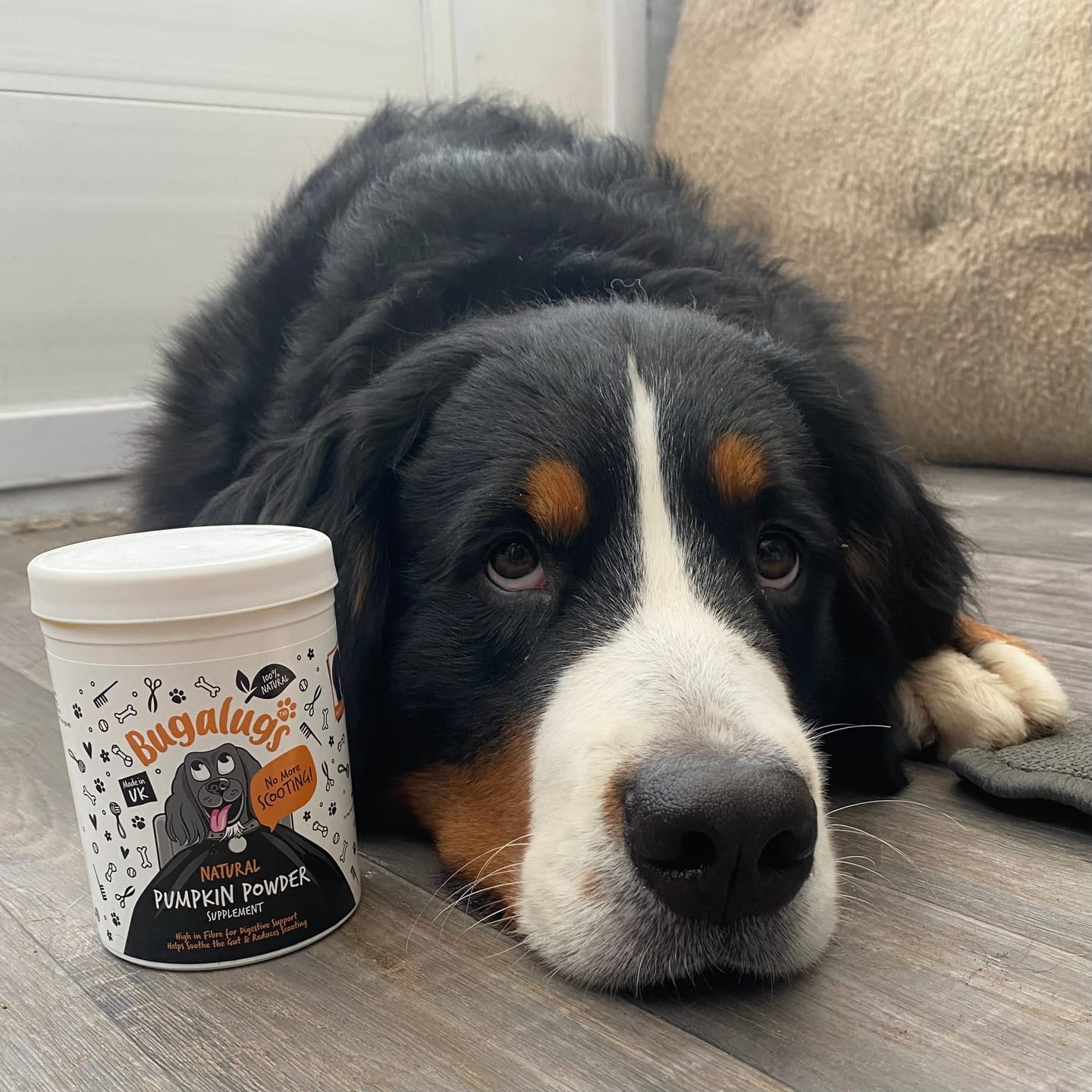 Customer photo review of Pumpkin Powder Supplement for Dogs (200g)