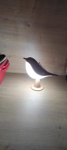 Customer photo review of BirdZen - Lampe de Chevet St Valentin