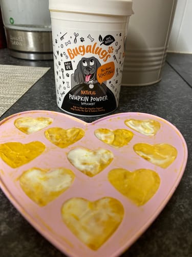 Customer photo review of Pumpkin Powder Supplement for Dogs (200g)