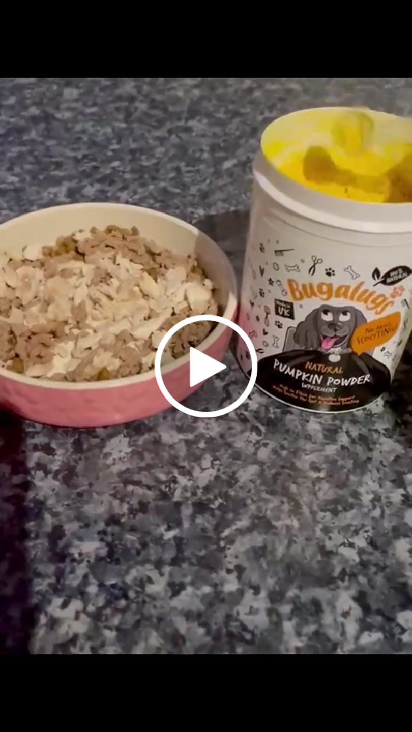 Customer video review of Pumpkin Powder Supplement for Dogs (200g)