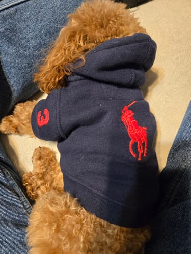 Customer photo review of Polo Ralph Lauren Big-Pony Fleece Dog Hoodie